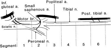 Electrodes for the Neural Interface - Clinical Tree