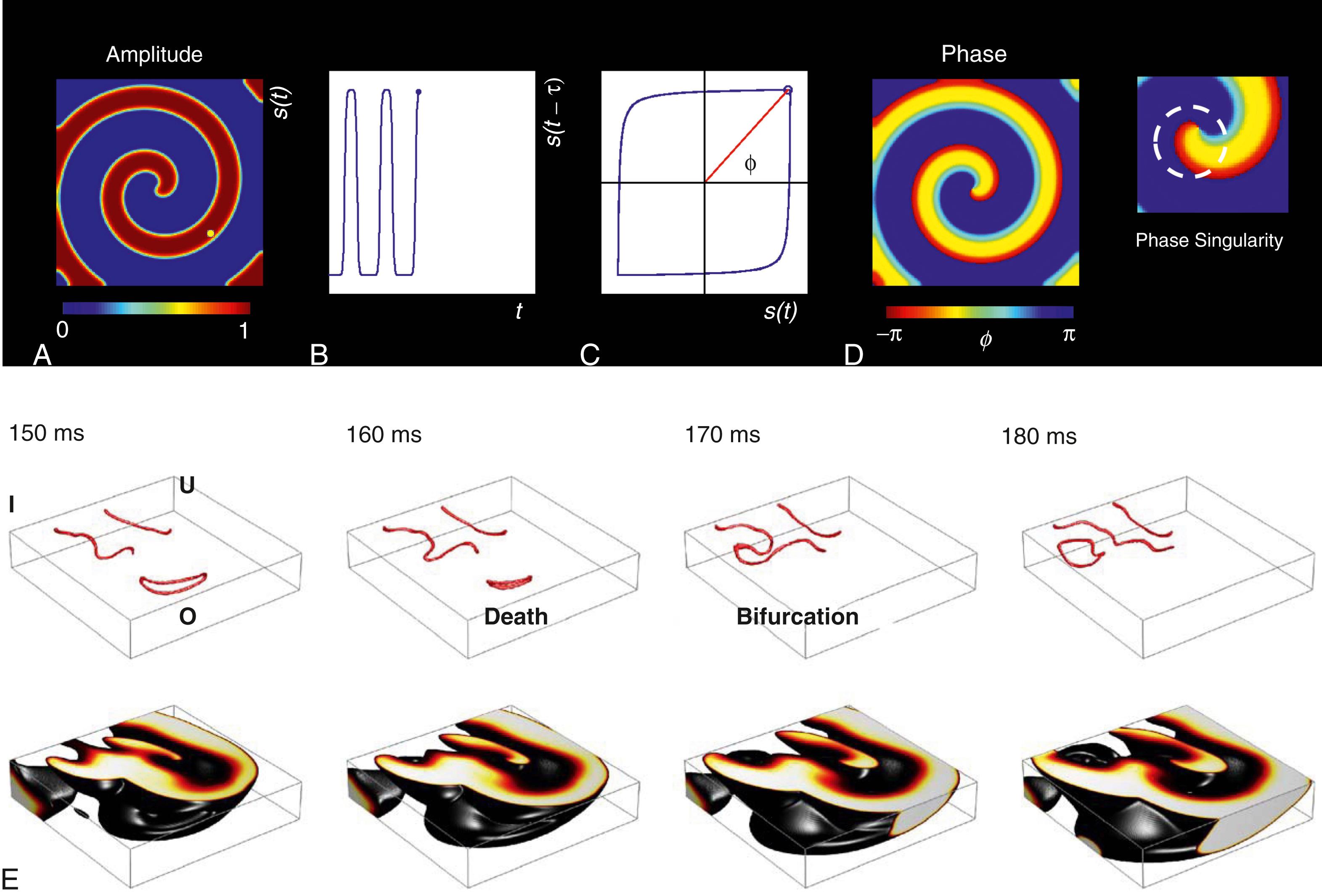 Fig. 37.2, Phase singularities and filaments.