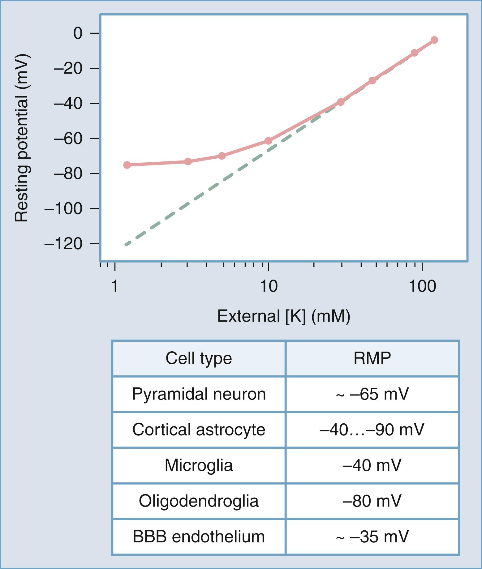 Figure 77.1, Relationship between resting membrane potential (RMP) and extracellular potassium ions ([K + ] out ).