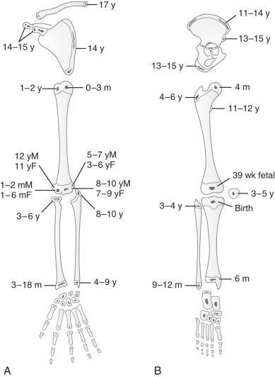 Figure 128.2, Ages of onset of secondary (epiphyseal and apophyseal) ossification of the major bones of the upper (A) and lower (B) extremity. F, Female; M, male; m, month; wk, week; y, year.