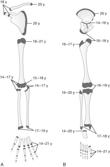 Figure 128.3, Ages of physeal closure of the major bones of the upper (A) and lower (B) extremities. y, Year.