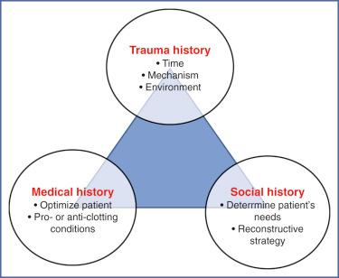 Fig. 2.5, Essential History for Emergency Microsurgery