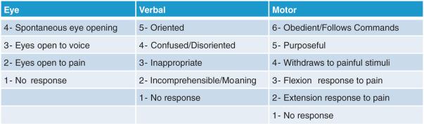 Fig. 125.2, Glasgow Coma Scale.