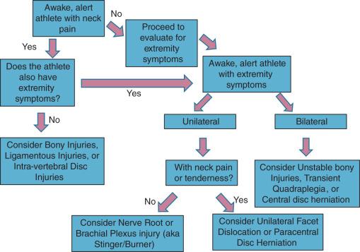 Fig. 125.4, Focused physical exam.