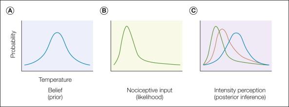 Figure 17-2, Pain affect as inference.