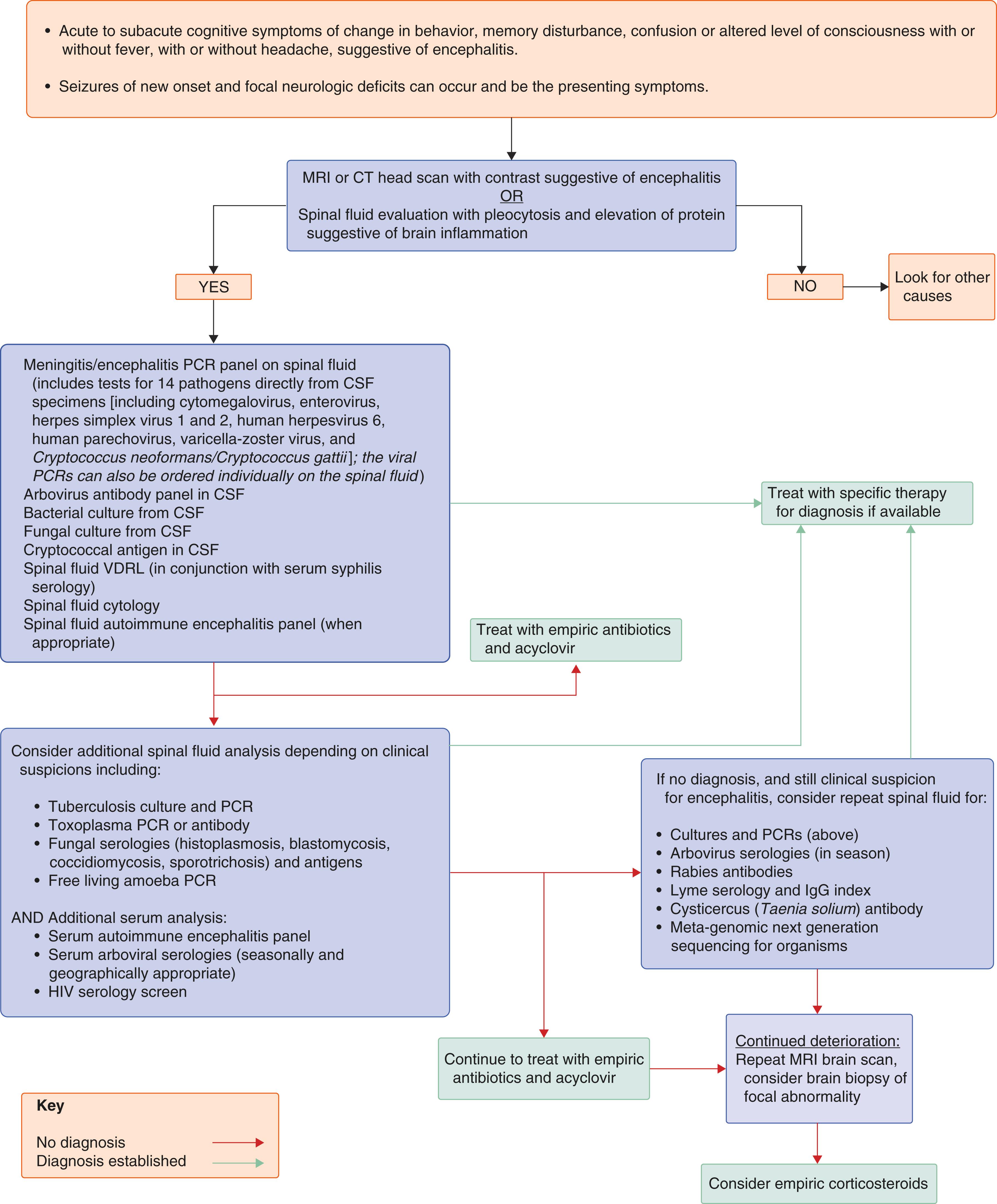 FIGURE 383-2, Diagnostic approach to encephalitis. CSF = cerebrospinal fluid; CT = computed tomography; HIV = human immunodeficiency virus; IgG = immunoglobulin G; MRI = magnetic resonance imaging; PCR = polymerase chain reaction; VDRL = Venereal Disease Research Laboratory.