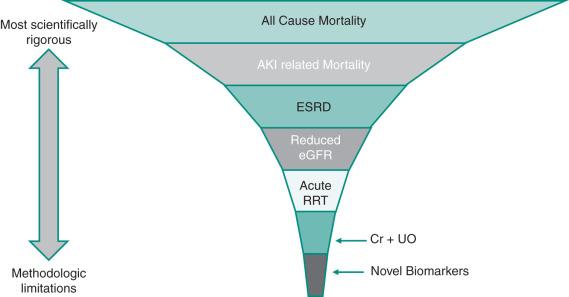 FIGURE 226.1, Schematic diagram of potential end points for acute kidney injury trials. The order ranking of the different end point options depends on the end point's relevance to a specific phase of clinical trial, target population, and treatment option. Cr, creatinine; eGFR, estimated glomerular filtration rate; ESRD, end stage kidney disease; RTT, renal replacement therapy; UO, urinary output.