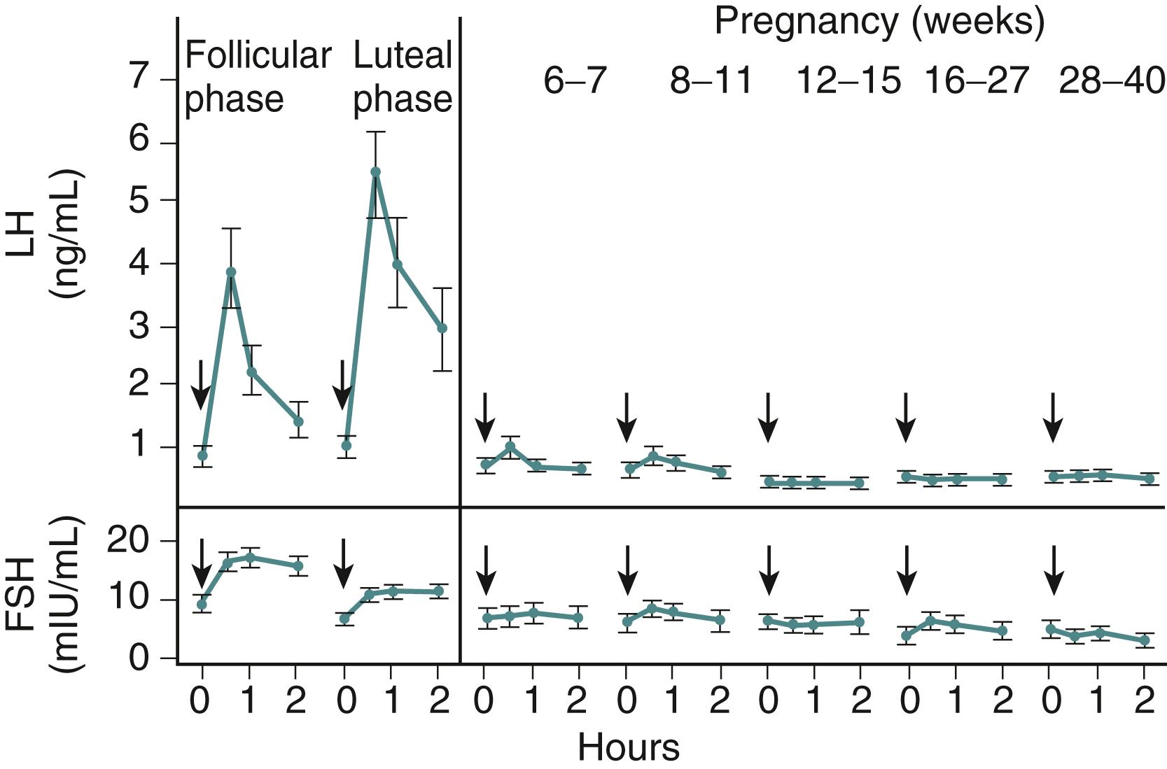 Fig. 29.12, Effect of pregnancy on GnRH stimulation test.