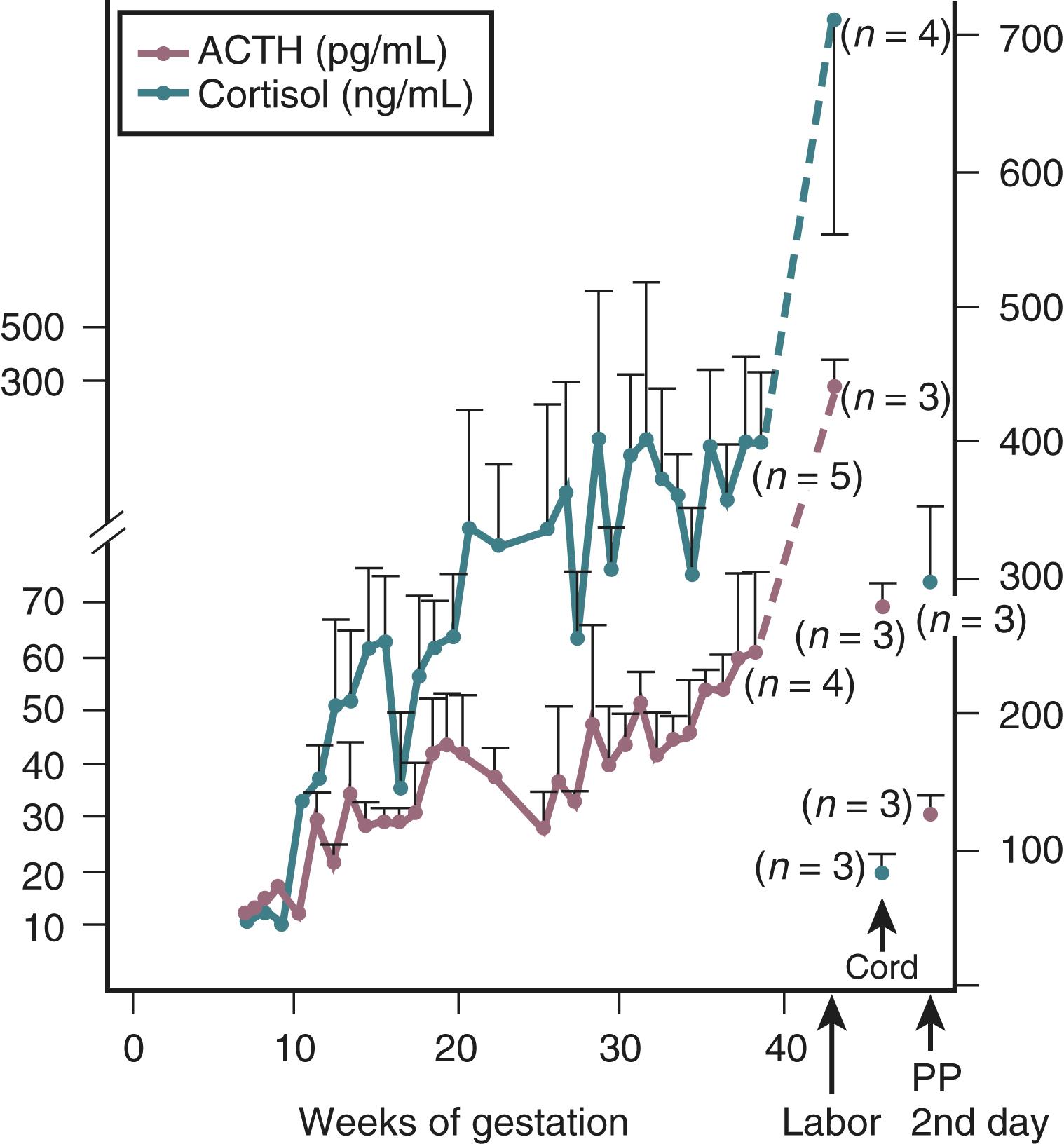 Fig. 29.9, ACTH and total cortisol concentration in the maternal circulation throughout gestation.