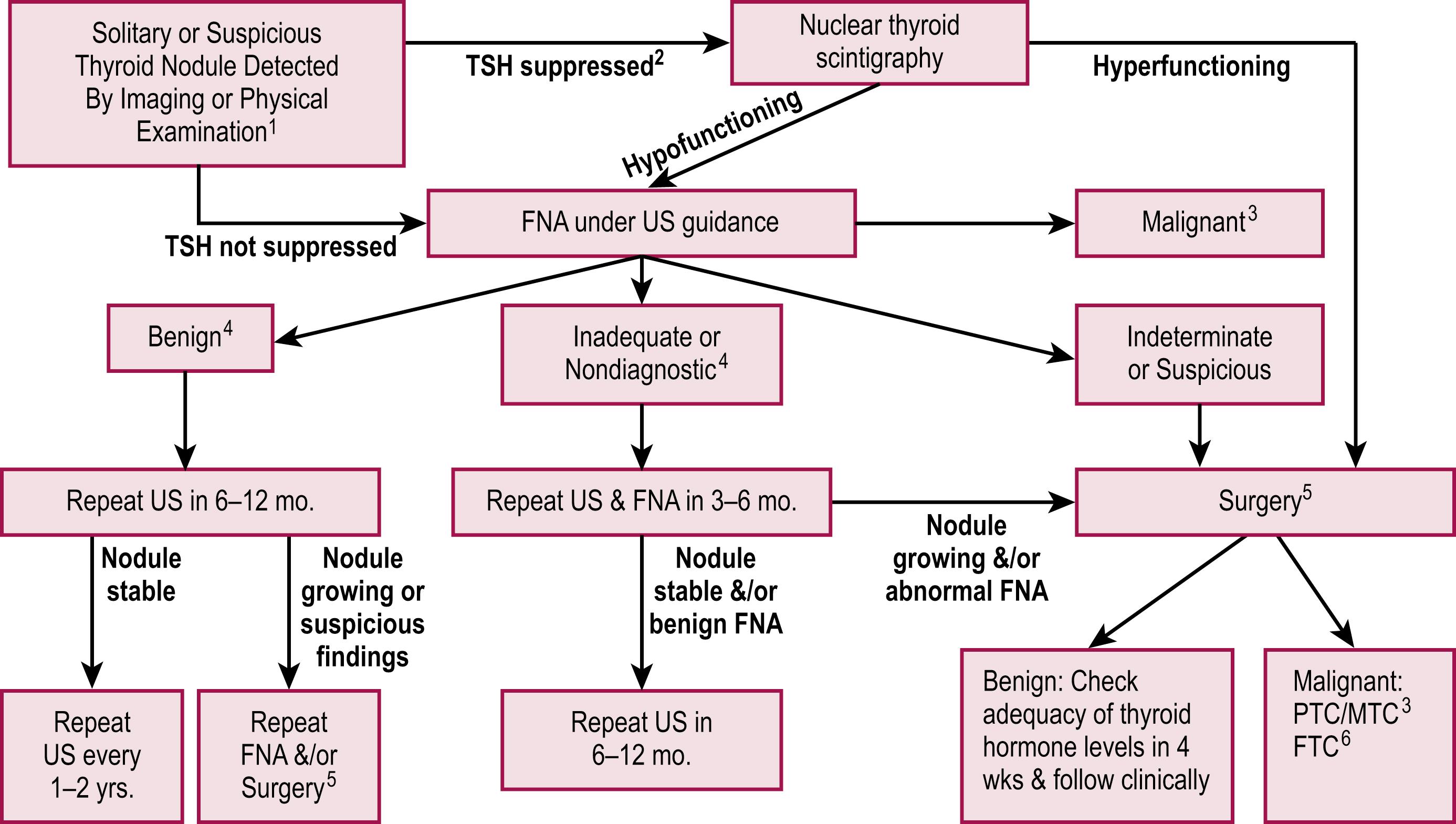 Fig. 75.3, The management algorithm for children with a suspicious thyroid nodule based on the 2015 ATA Management Guidelines for children is depicted. 45 1, The algorithm assumes a solid or partially cystic nodule ≥1 cm or a nodule with concerning ultrasonographic features in a patient without personal risk factors for thyroid malignancy. 2, A suppressed TSH indicates a value below the lower limits of normal. 3, Refers to parathyroid cancer or medullary thyroid cancer management guidelines. 4, Surgery can always be considered based on suspicious ultrasound findings, concerning clinical presentation, nodule size >4 cm, compressive symptoms, and/or patient/family preference. 5, Surgery implies lobectomy plus isthmusectomy in most cases. Surgery may be deferred in patients with an autonomous nodule and subclinical hyperthyroidism, but FNA should be considered if the nodule has suspicious features for papillary thyroid cancer. Intraoperative frozen section for indeterminate and suspicious lesions is helpful. Total thyroidectomy should be considered for nodules suspicious for malignancy on FNA. 6, One should consider completion thyroidectomy ± radioactive iodine versus observation ± TSH suppression based on final pathology. FNA, Fine-needle aspiration; US, ultrasound. (From Gary L. Francis et al. Management Guidelines for Children with Thyroid Nodules and Differentiated Thyroid Cancer. The American Thyroid Association Guidelines Task Force on Pediatric Thyroid Cancer. Thyroid, Volume: 25 Issue 7: July 10, 2015. Used with the permission of Mary Ann Liebert, Inc. publishers.)