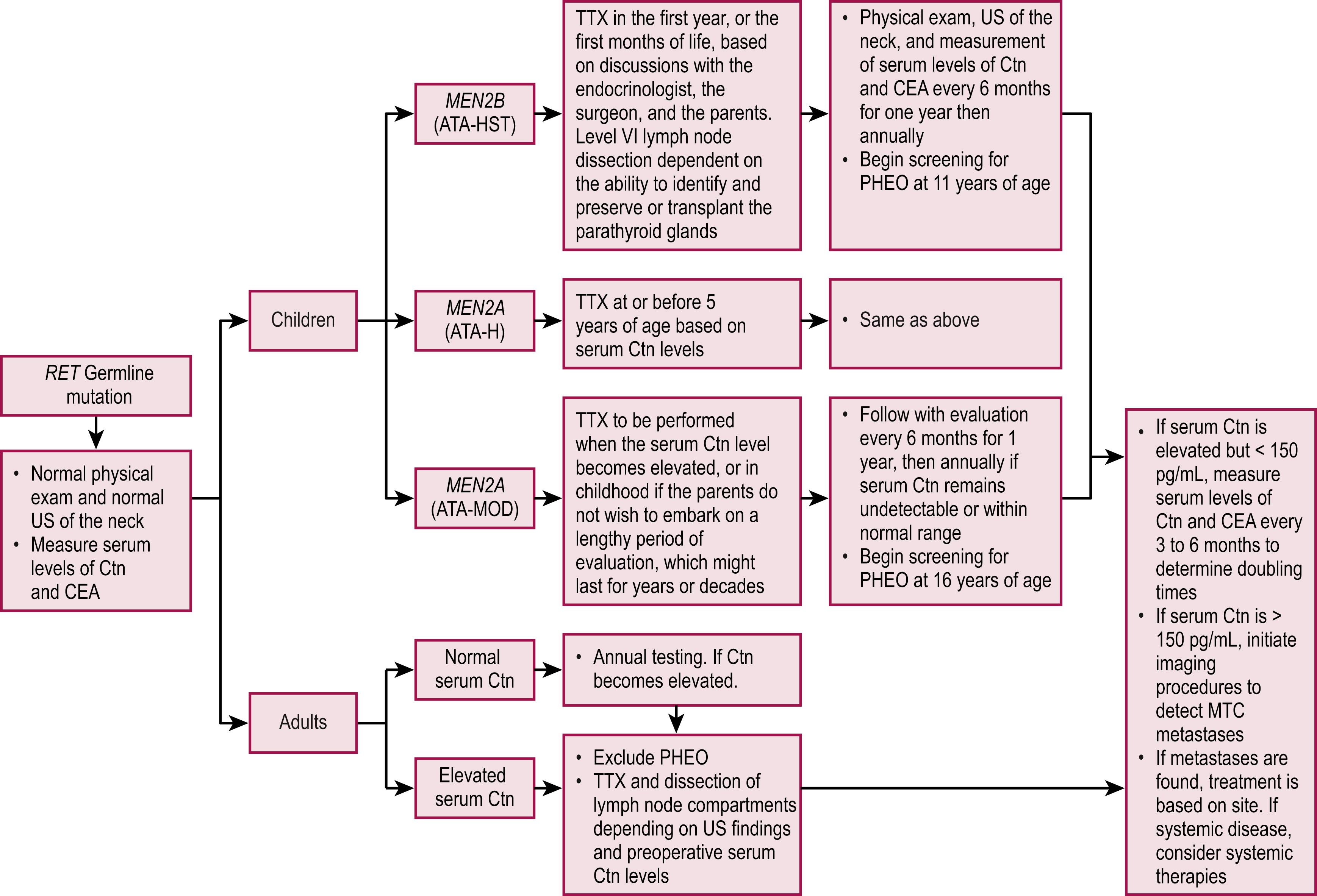 Fig. 75.6, The management of patients with RET germline mutation detected on genetic screening is depicted. 85 ATA, American Thyroid Association risk categories for aggressive medullary thyroid cancer (MTC) (HST, highest risk, H, high risk, MOD, moderate risk); Ctn, calcitonin; CEA, carcinoembryonic antigen, HPTH, hyperparathyroidism; PHEO, pheochromocytoma; RET , REarranged during Transfection; TTX, total thyroidectomy; US, ultrasound. (From Wells SA, Asa SL, Dralle H, et al. Revised American Thyroid Association guidelines for the management of medullary thyroid carcinoma. Thyroid. 2015;25:567–610. Used with the permission of Mary Ann Liebert, Inc. publishers.)