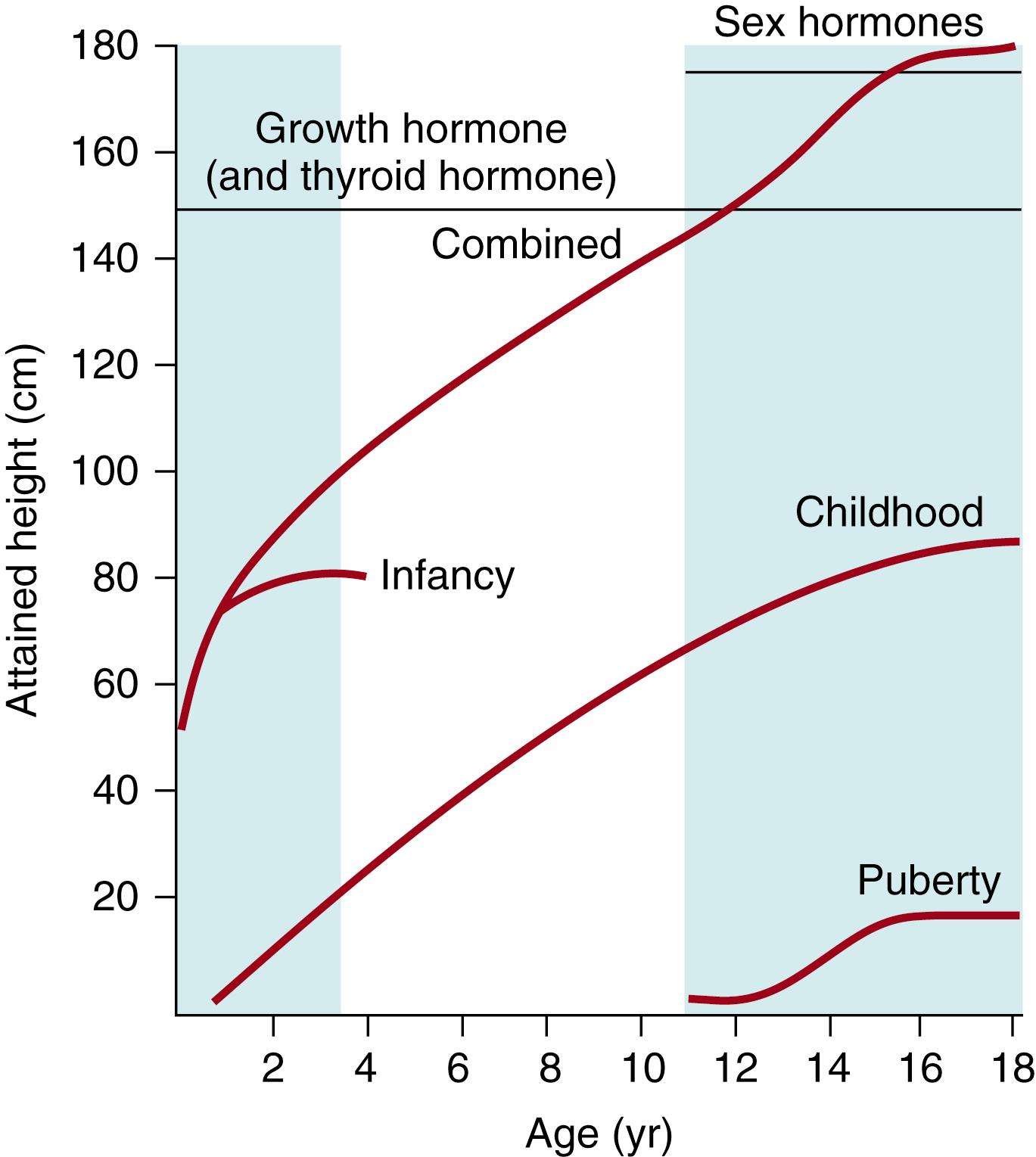 Fig. 22.1, Individual components of the infancy-childhood-puberty growth chart and the combined growth curve that results from the sum of these.