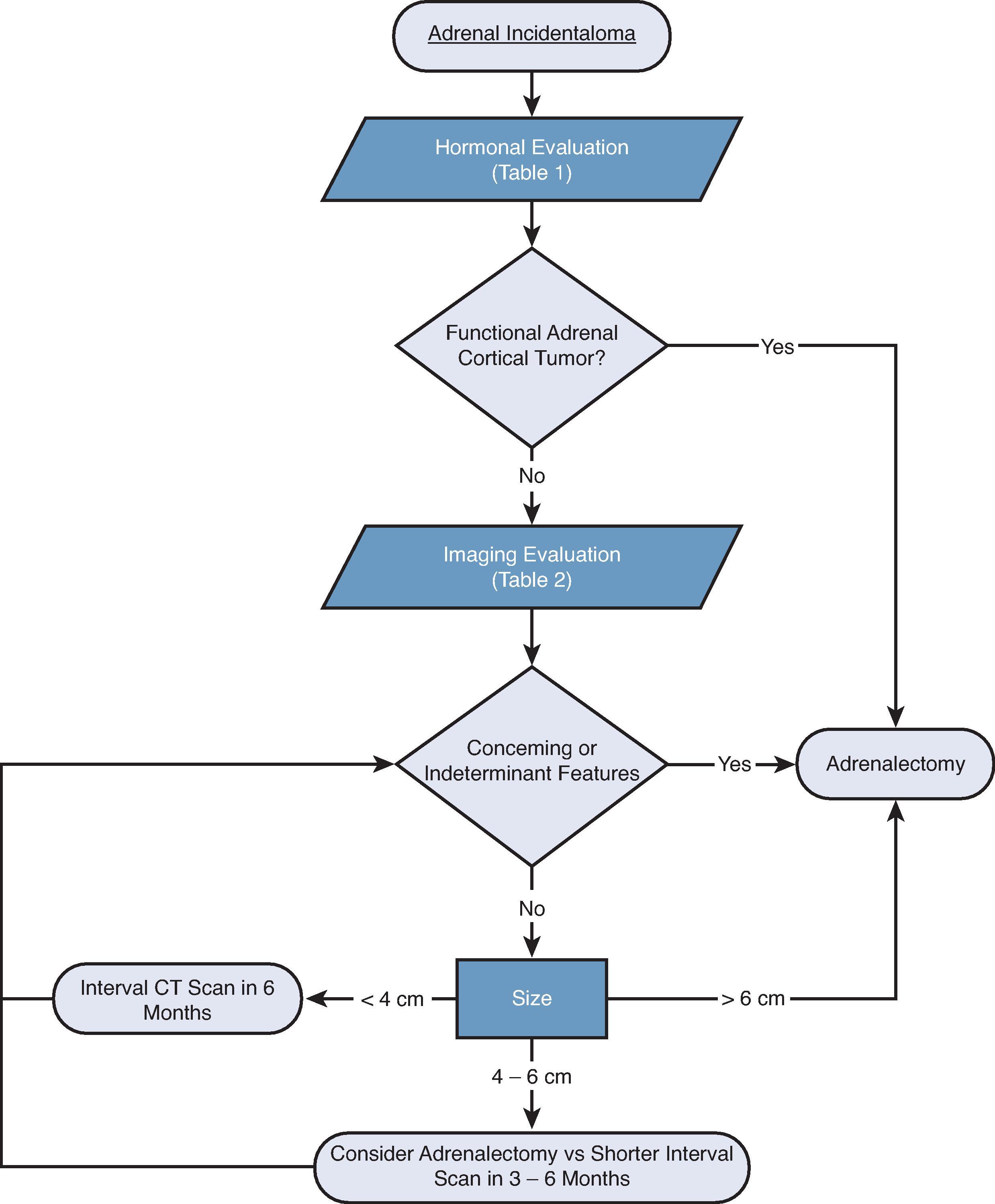 FIG. 1, Adrenal incidentaloma workup and general management algorithm.