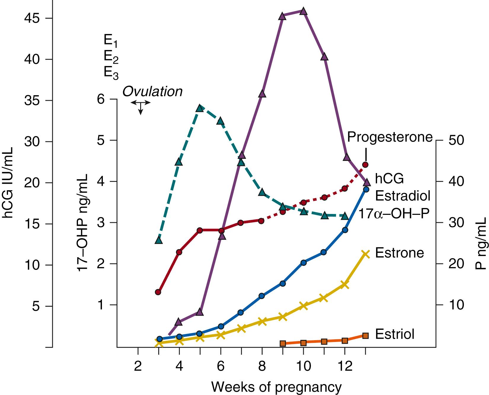 Fig. 11.2, Maternal plasma levels of human chorionic gonadotropin (hCG) and steroids during early human pregnancy. E 1 , Estrone; E 2 , estradiol; E 3 , estriol; 17α–OH–P, 17α-hydroxyprogesterone; 17–OHP, 17-hydroxyprogesterone; P, progesterone.