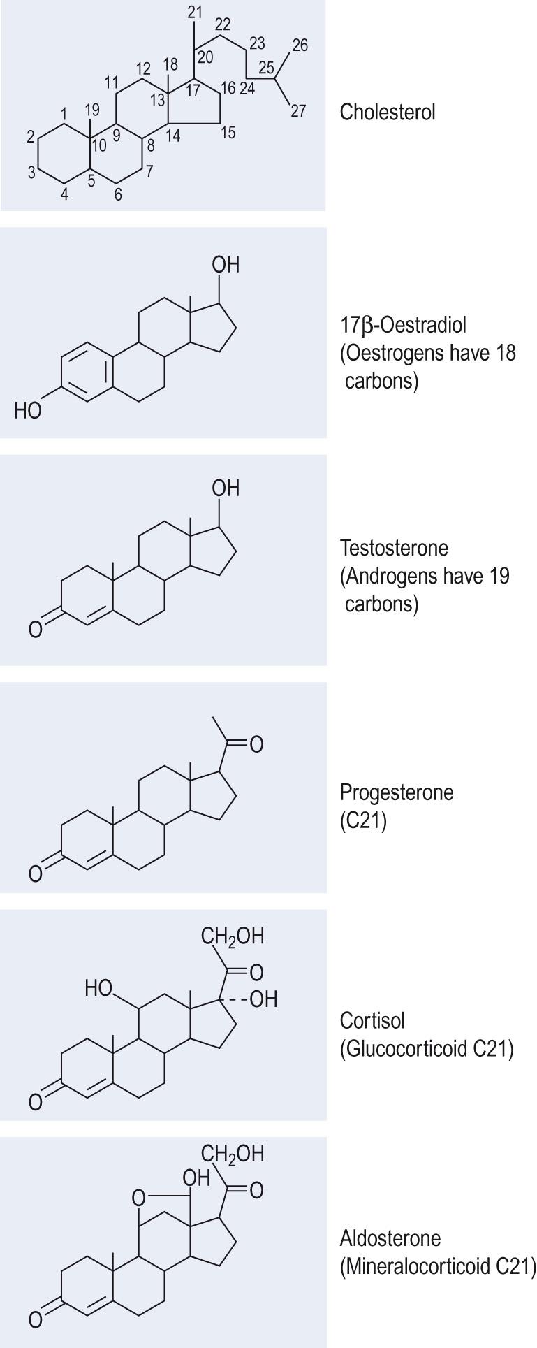 Fig. 10.3, Major classes of steroid hormone and the structure of cholesterol showing the numbering of carbon atoms.