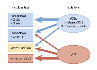 Figure 18.2, Type 1 and 2 endometrial carcinoma differ in the frequency of specific mutations, but there is substantial crossover especially in the grade III endometrioid and mixed categories. p53 inactivation is present in about 90% of serous carcinomas, and much less in clear cell carcinomas and carcinosarcomas.