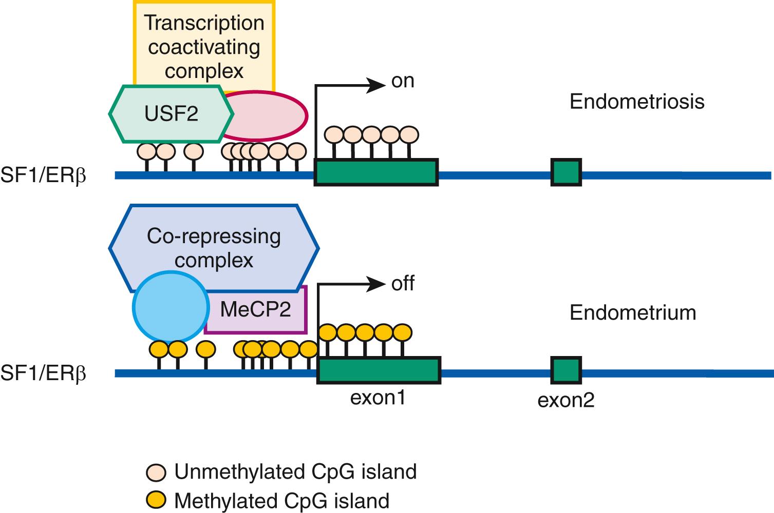 Fig. 27.15, DNA methylation in endometriosis.