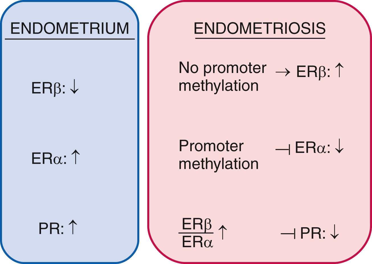 Fig. 27.17, Steroid receptor expression in endometriosis.