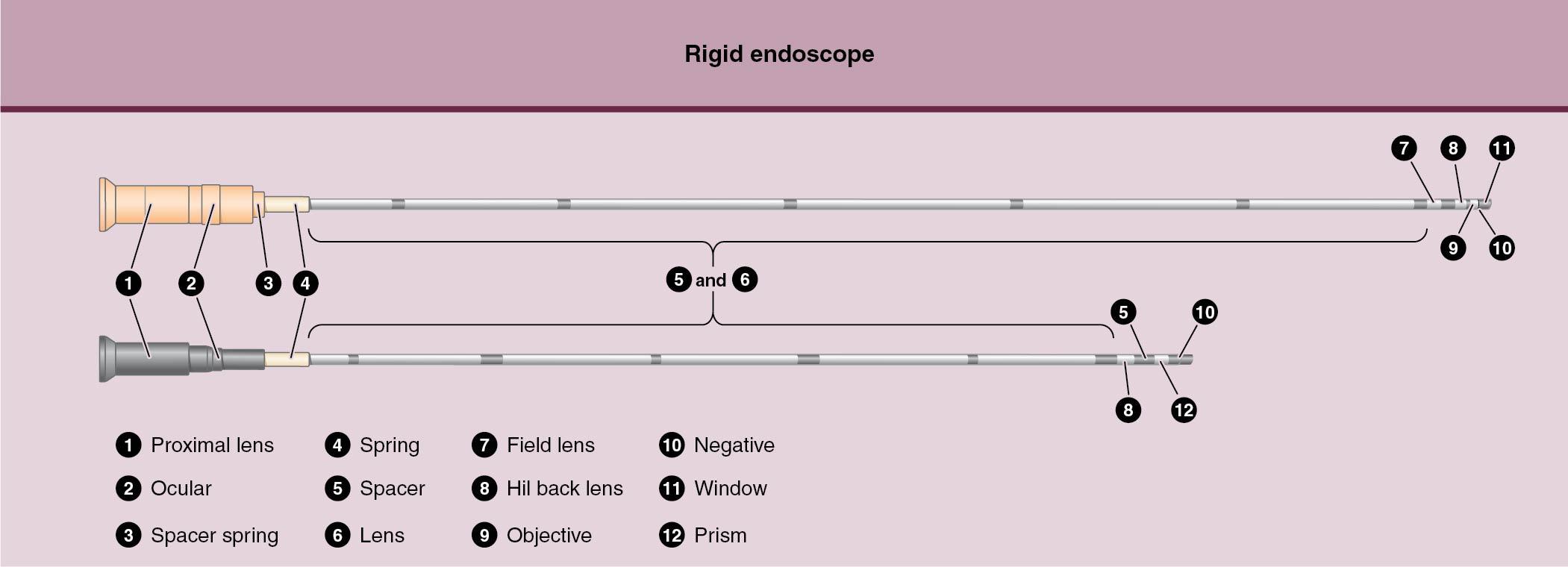 Fig. 10.6, Anatomy of a rigid endoscope.