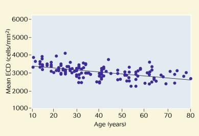 Fig. 31.3, Relation between endothelial cell density and age.