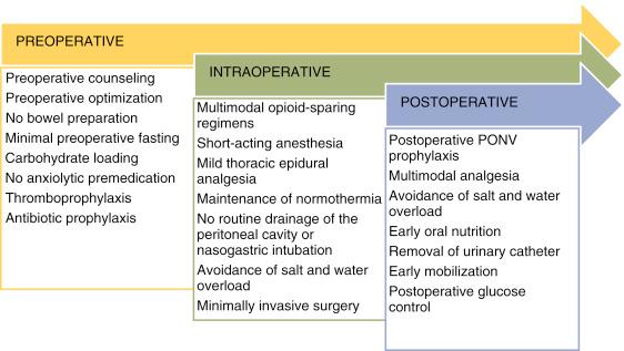 Fig. 3.1, Elements of Enhanced Recovery After Surgery pathway. PONV, postoperative nausea and vomiting.