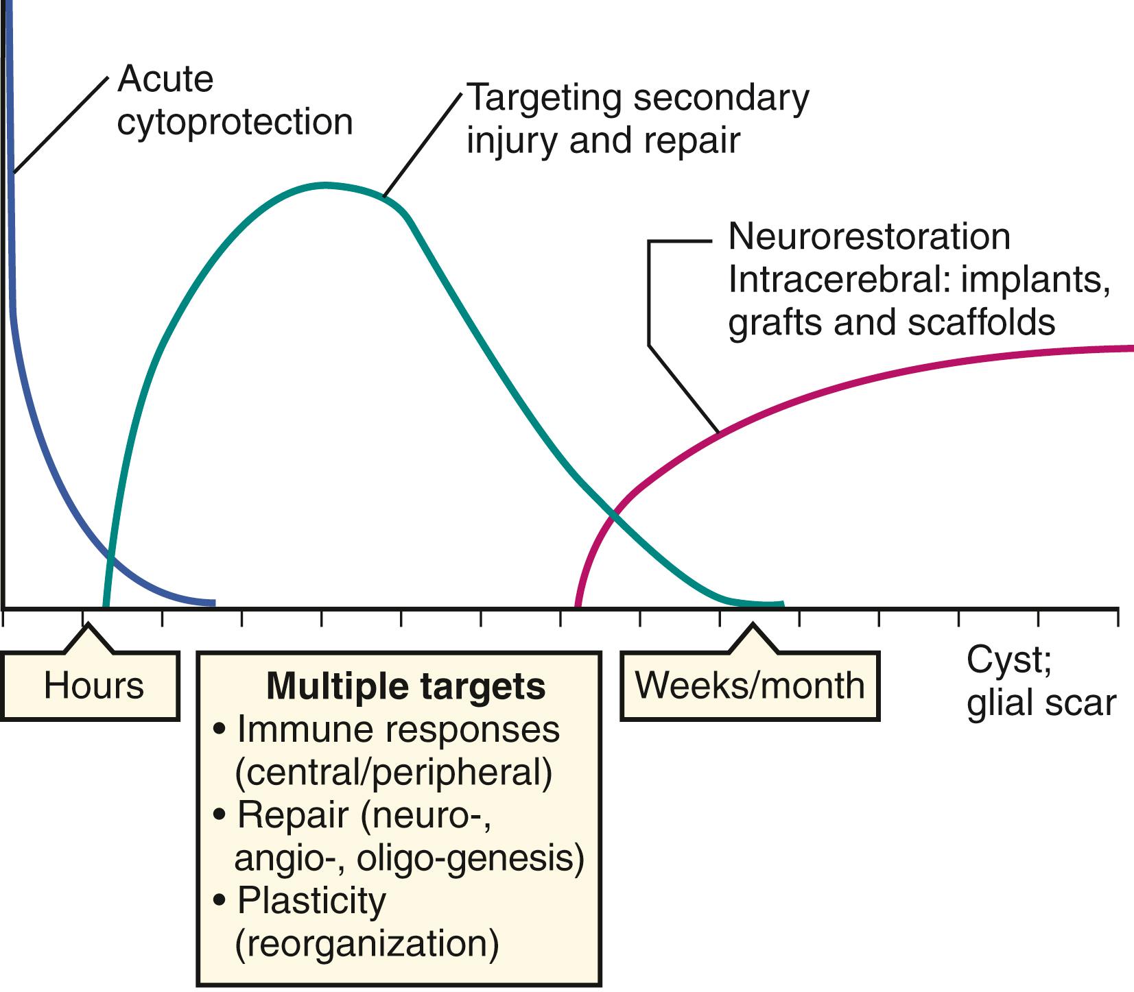 Fig. 62.3, Therapeutic windows. Various temporal windows can be envisioned that provide different mechanistic targets for cell therapies in stroke.