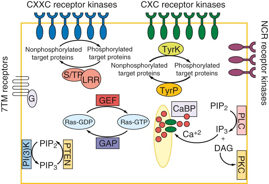 FIG. 272.2, Predicted signal transduction mechanisms of Entamoeba histolytica, based on analysis of the genome sequence data.