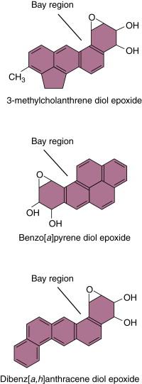 Figure 7-2, Selected polycyclic aromatic hydrocarbon (PAH) bay region dihydrodiol epoxides.
