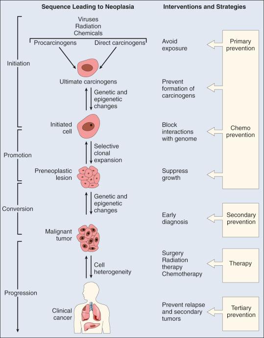 Figure 10.1, Linear representation of a sequence leading to neoplasia and points of public health intervention strategies for prevention of multistage carcinogenesis.