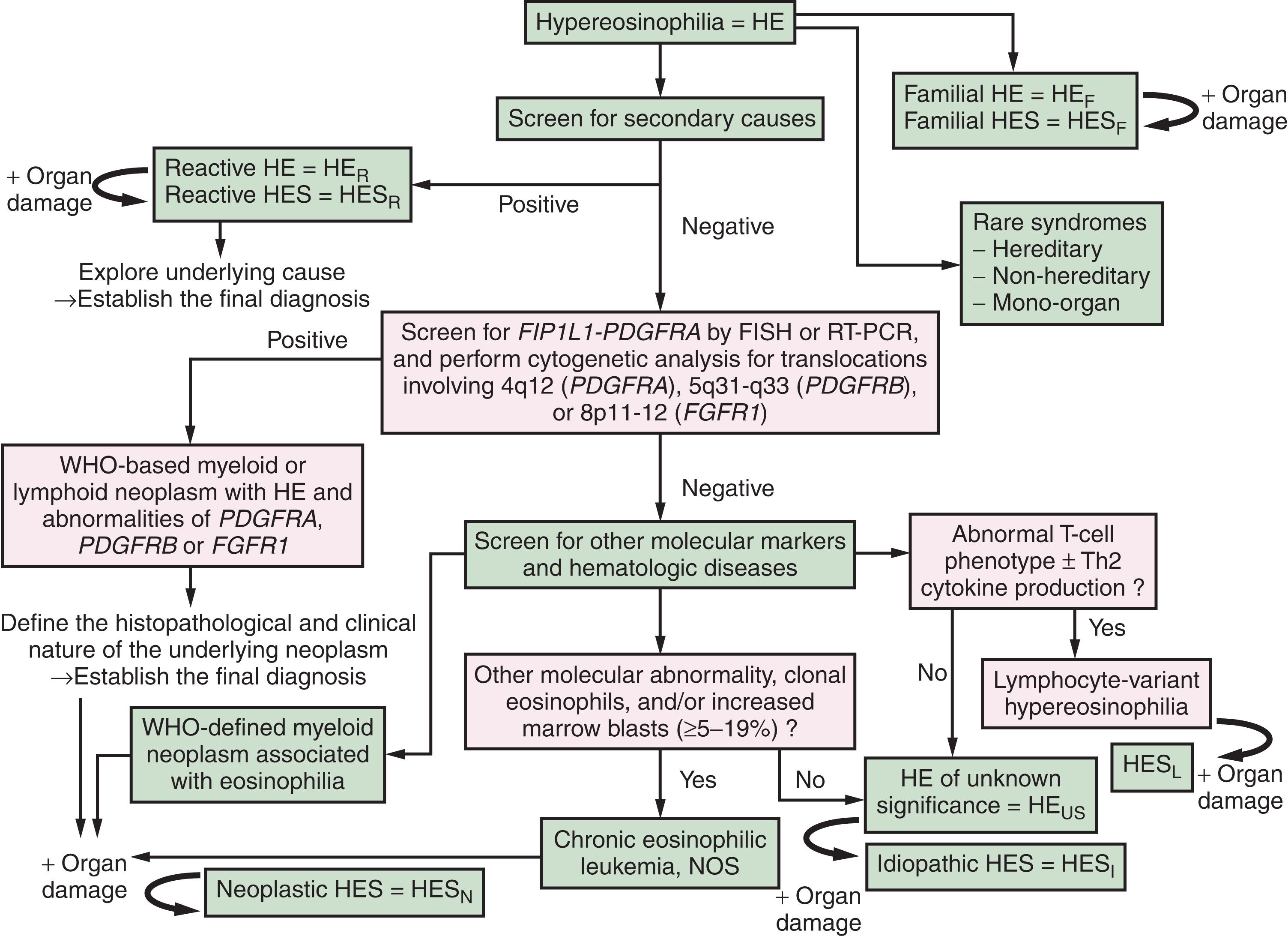 Figure 74.3, DIAGNOSTIC ALGORITHM FOR PATIENTS WITH EOSINOPHIL DISORDERS.