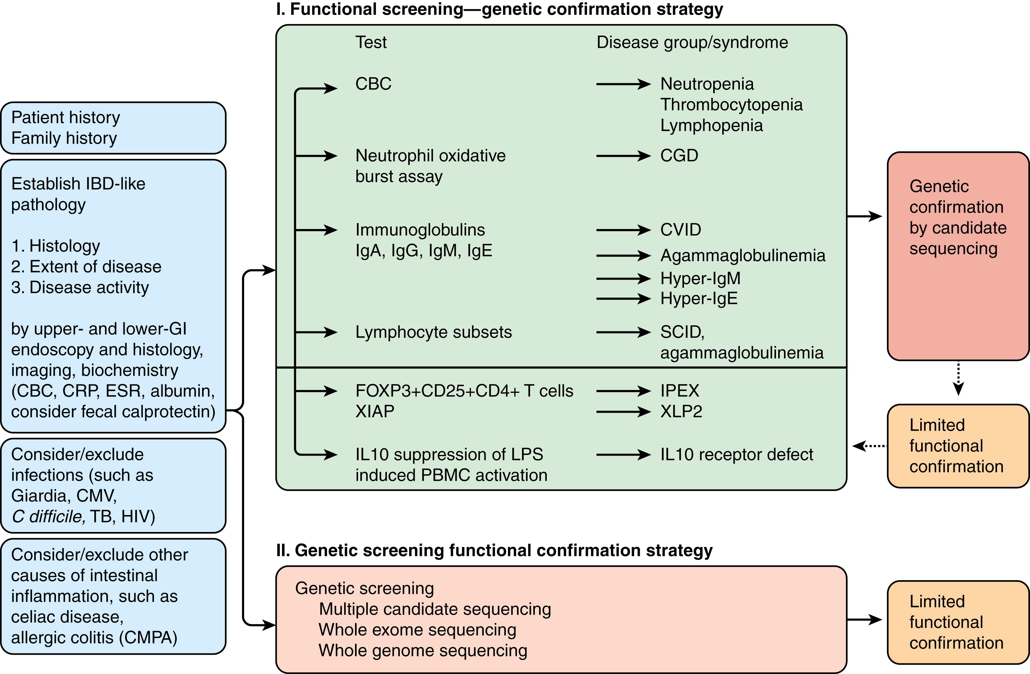 Fig. 115.3, Diagnosis of VEOIBD. Patient and family history, physical examination, endoscopic investigations, imaging, and limited biochemistry and microbiology/virology tests are required to establish the diagnosis of IBD, assess disease localization and behavior, and determine inflammatory activity. If there is doubt, those tests can contribute to exclude the much more frequent GI infections and non-IBD immune responses toward dietary antigens. Cow’s milk protein allergy can present with enteropathy and colitis, and celiac disease can mimic autoimmune enteropathies. Fecal calprotectin can be helpful but may be increased even in healthy infants. The current diagnostic strategy to investigate a monogenic cause of IBD-like intestinal inflammation is largely based on restricted functional screening followed by genetic confirmation. Additional abnormal features consistent with monogenic conditions include overt skin manifestations, frequent infections and dysmorphisms. A restricted set of laboratory tests is needed to propose candidate genes of the most common genetic defects for subsequent limited sequencing. As a complementary approach, genetic screening for IBD-causative rare variants using next-generation sequencing might be followed by limited functional confirmatory studies. The complexity of problems in these children requires interdisciplinary support, including pediatric gastroenterologists, immunologists, geneticists, and infectious disease specialists. CMPA, cow’s milk protein allergy; CRP, C-reactive protein; ESR, erythrocyte sedimentation rate; IPEX, immunodysregulation polyendocrinopathy enteropathy X-linked. 66