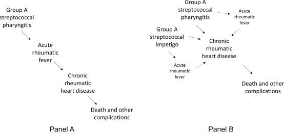 Fig. 1.1, Epidemiological models describing the relationship between Acute Rheumatic Fever and Rheumatic Heart Disease.