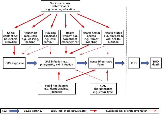 Fig. 1.3, Major hypothesized risk and protective factors along the causal pathway from group A streptococcal exposure to Acute Rheumatic Fever and Rheumatic Heart Disease.