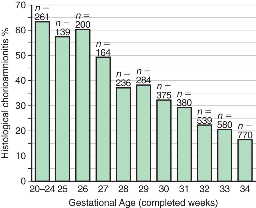 Fig. 129.4, Histologic chorioamnionitis in liveborn preterm babies by gestational age ( n = 3,928 babies).