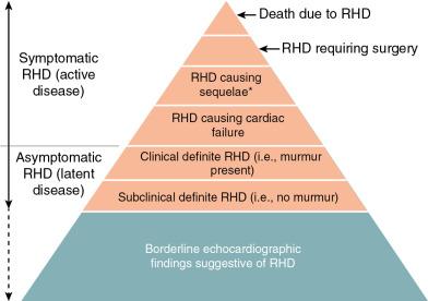 Fig. 1.4, Classification of Chronic Rheumatic Disease.