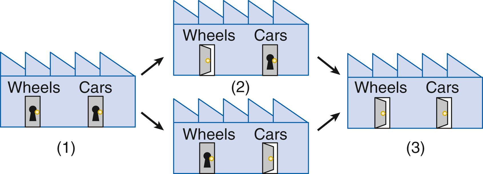 Fig. 2.1, Epigenetic machinery. The following analogy can be used to illustrate this point. Security guards can use keys to lock and unlock doors according to instructions they are receiving from another source. (1 and 3) At the beginning and end of each working day, the guards go through their routine of unlocking or locking doors. (2) By locking and unlocking doors in a factory, the guards are not changing the structure of the factory, but rather this system is akin to epigenetic modifications that limit the workers’ (i.e., the transcription factors, DNA binding proteins, and RNA polymerases) access to the equipment and information within the factory. If there is an error in the unlocking routine for example, part of the factory would remain off-limits to the workers for one cycle of 12 hours. Thus, if the factory is a car assembly line and the section where the wheels are stored (i.e., the gene) remains locked, then no workers are able to access this area and the final product (i.e., the phenotype) is cars without wheels. (3) However, when the correct set of keys has opened the correct factory doors, the cars and wheels will both be accessible, and the cars will be made.