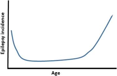Figure 81.1, Incidence of epilepsy is highest in young children and elderly people.