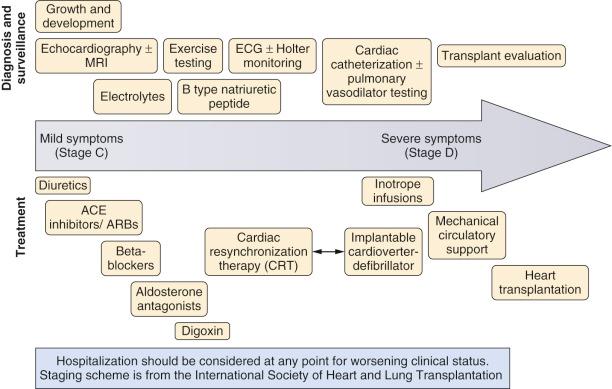 FIGURE 16.11, Outline of diagnostic and therapeutic strategies in pediatric heart failure. ACE , angiotensin converting enzyme; ARBs , angiotensin receptor blockers; ECG , electrocardiogram; MRI , magnetic resonance imaging.