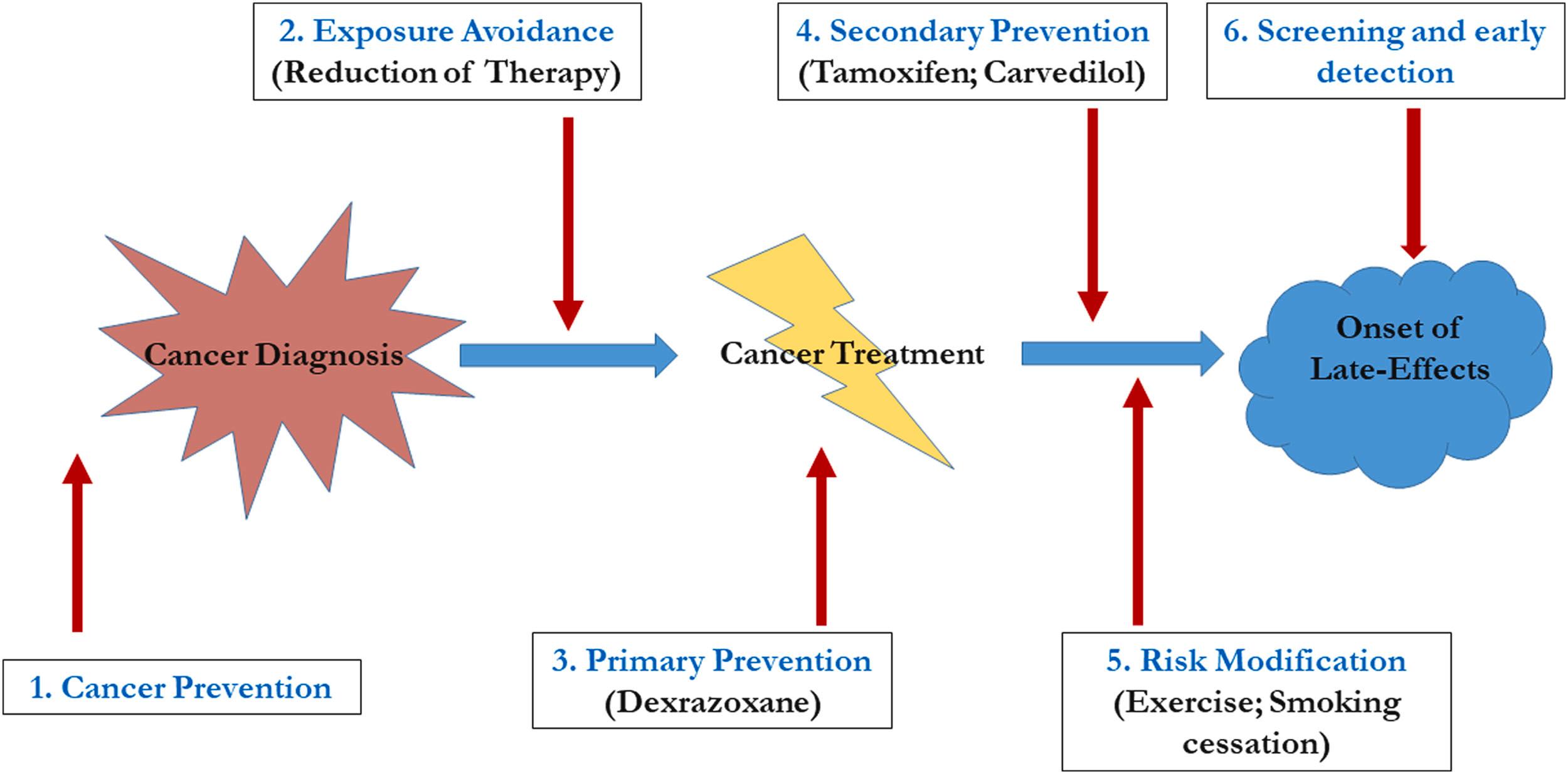 Figure 33.1, Points in the cancer timeline at which interventions can reduce the burden of late effects.