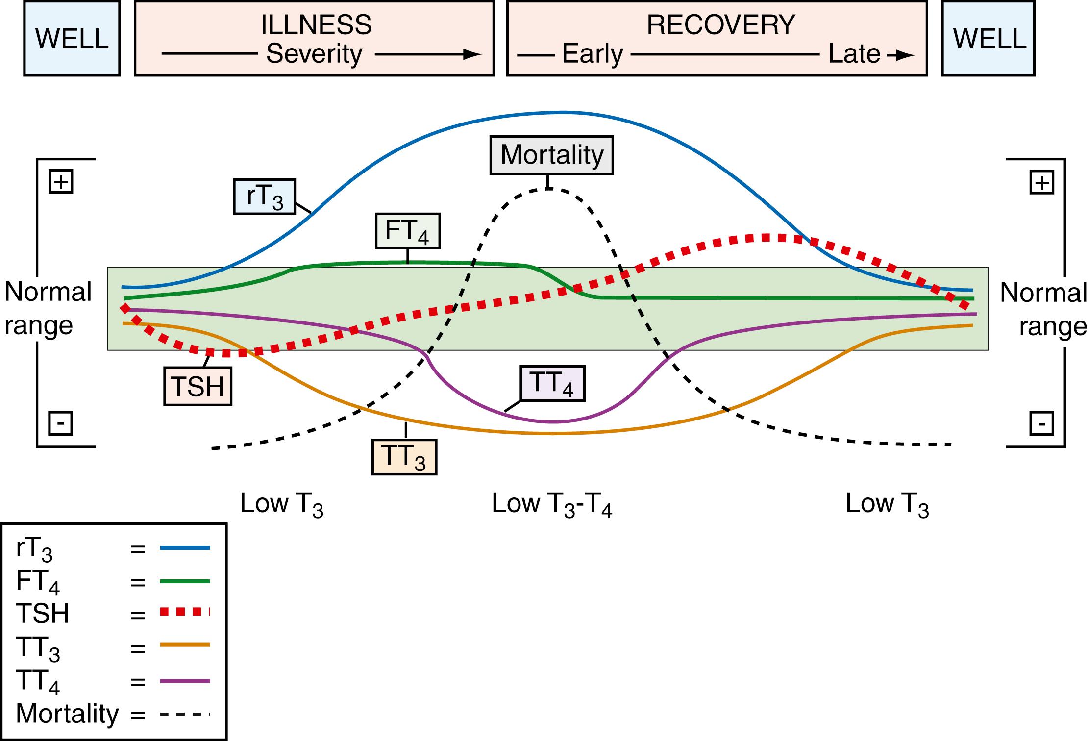 Figure 25.7, Changes in thyroid hormones during severe illness. FT 4 , Free thyroxine; rT 3 , reverse triiodothyronine; TSH, thyroid-stimulating hormone; TT 3 , total triiodothyronine; TT 4 , total thyroxine.