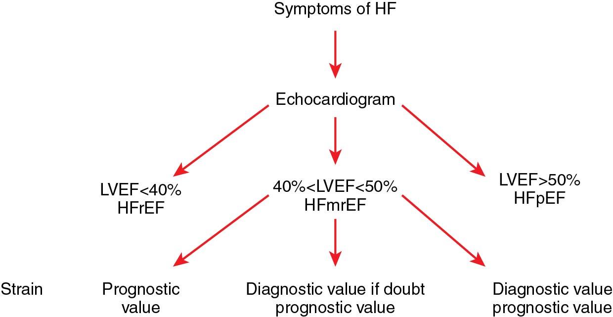 Central Illustration 3.1, Role of Strain in Heart Failure (HF).