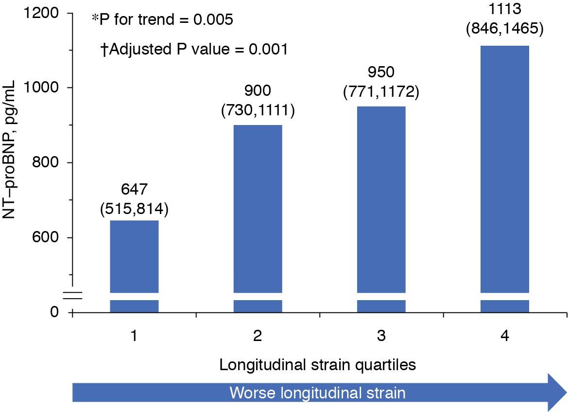 Fig. 3.4, Association between strain and heart failure (HF) severity. In this comparison of quartiles of global longitudinal strain (GLS) and N-terminal probrain natriuretic protein ( NT-proBNP ), the trend test (*) was performed using log-transformed NT-proBNP, and the P value was adjusted for age, sex, systolic and diastolic blood pressure, body mass index, E/E′, left ventricular ejection fraction, left atrial volume index, atrial fibrillation, and estimated glomerular filtration rate.