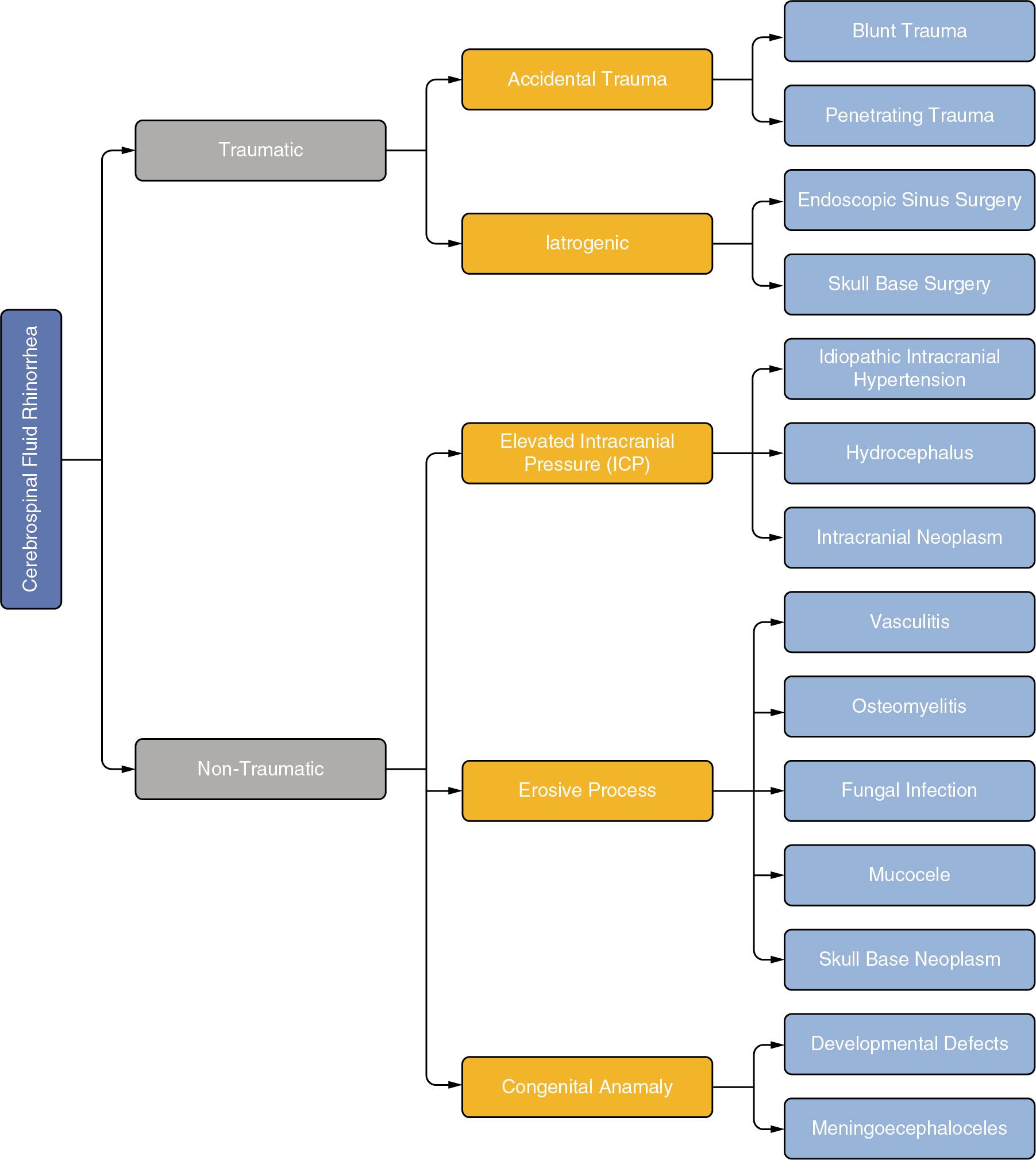 Fig. 2.1, Differential diagnosis of cerebrospinal fluid leak inducing rhinorrhea.