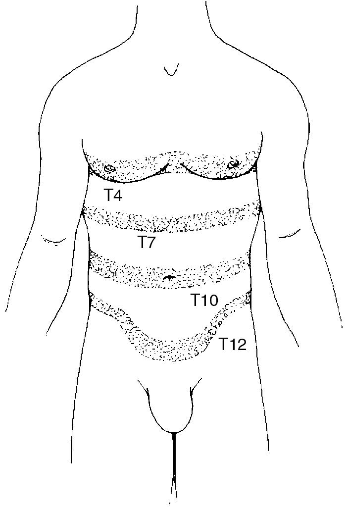 Fig. 5.1, Dermatomes of the trunk.