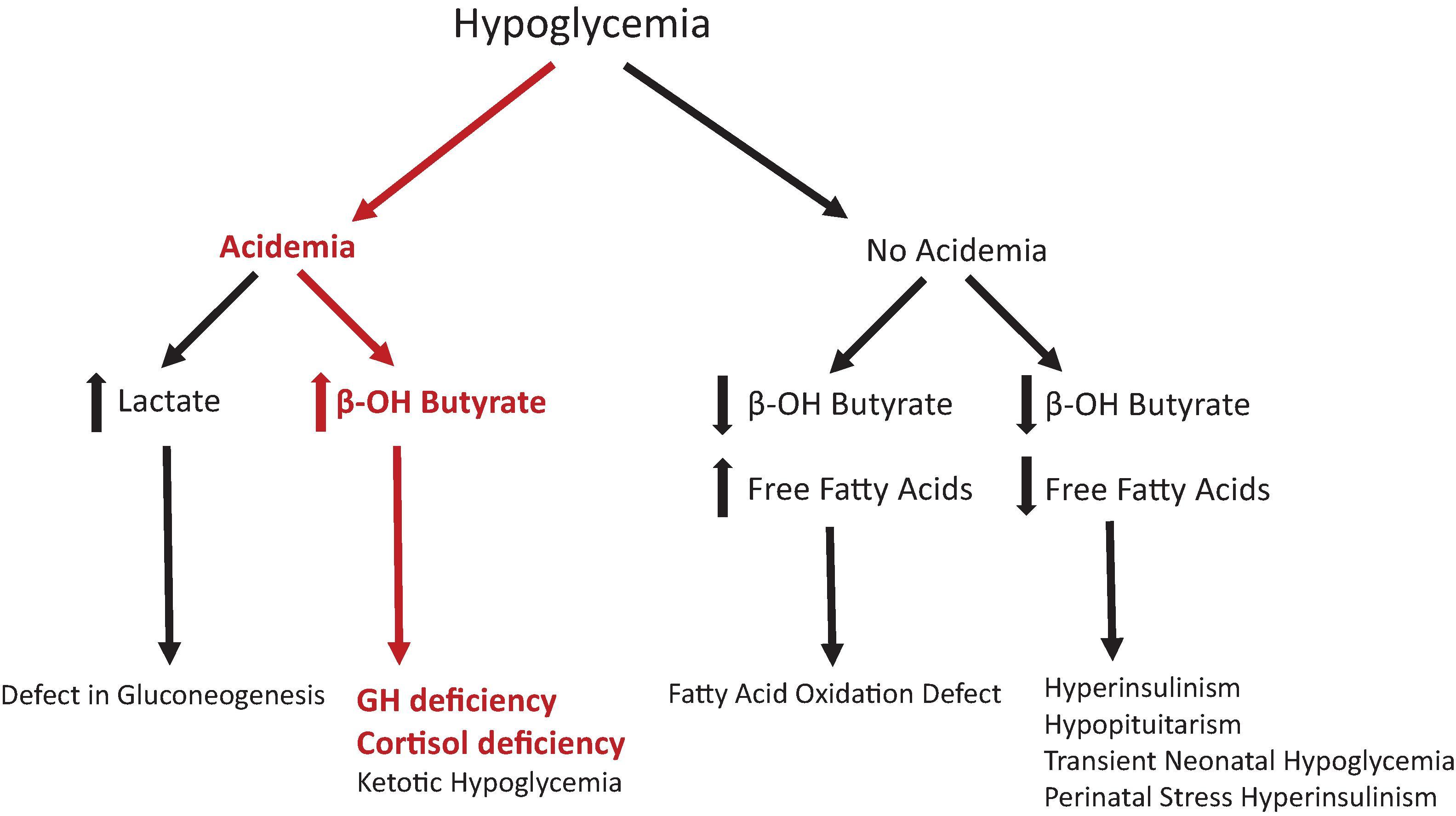 Fig. 25.2, Clinical Suspicion and Evaluation of a Hypoglycemic Infant for Hypopituitarism .