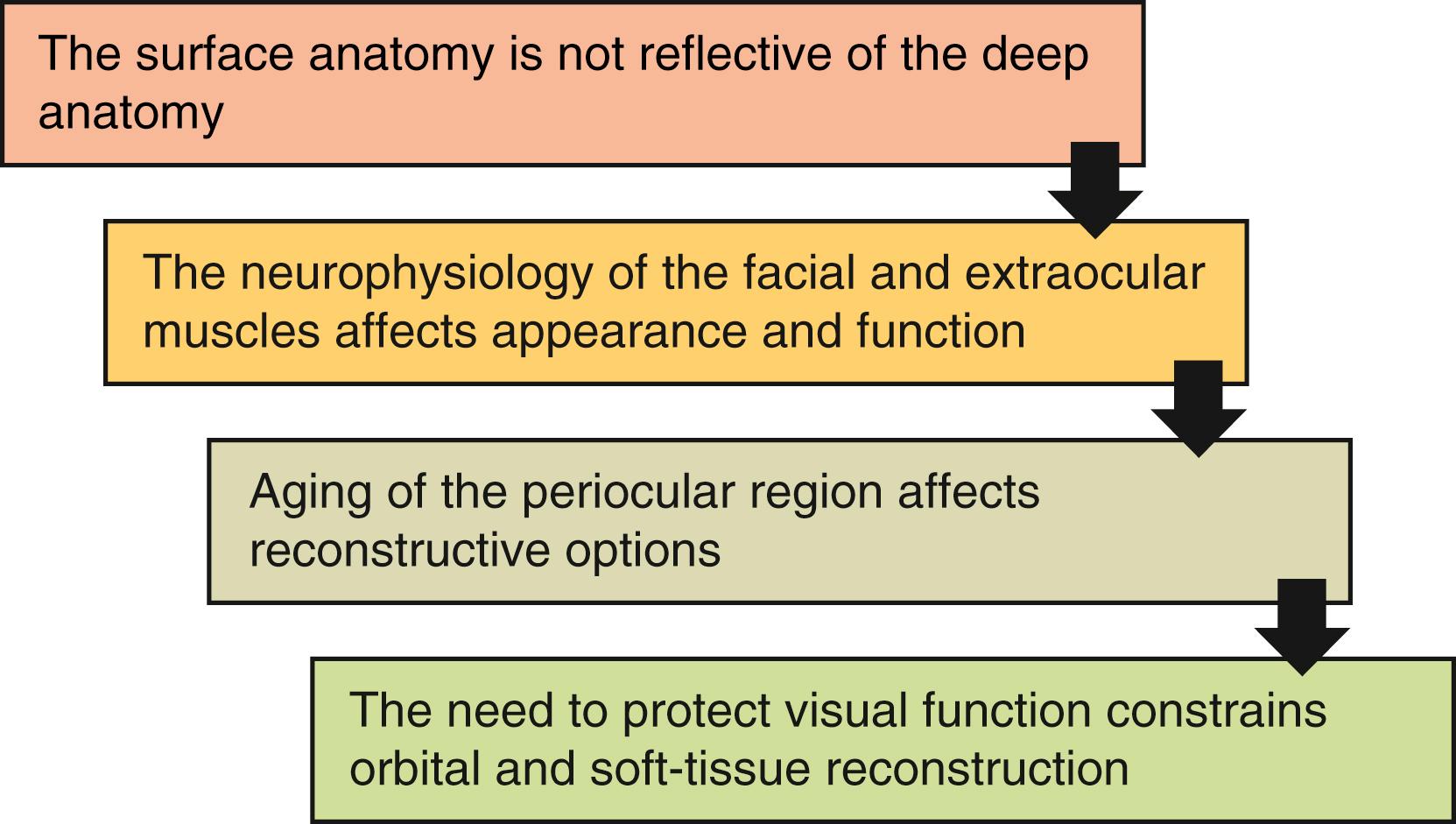 Fig. 31.3, Challenges in periorbital reconstruction.