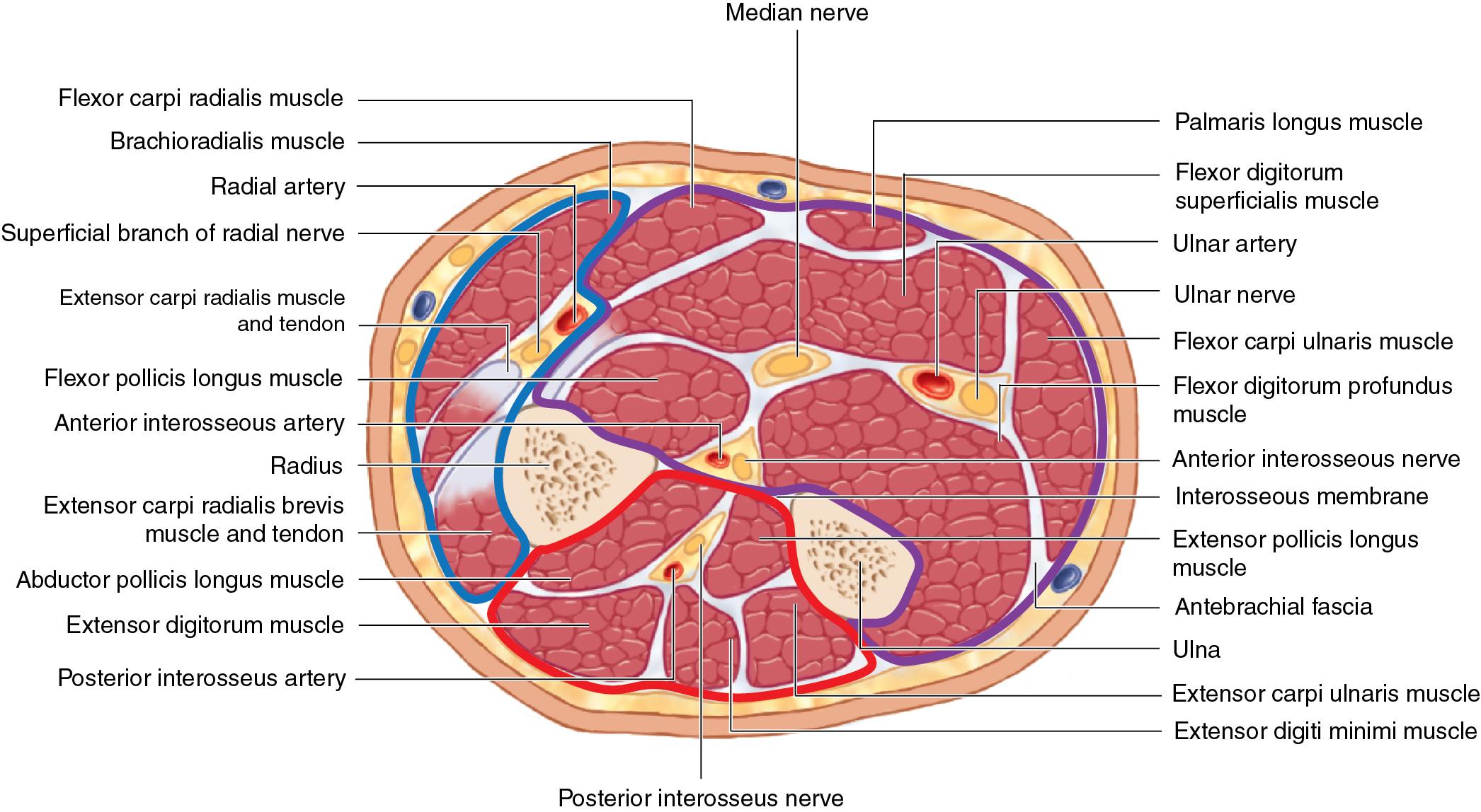 FIGURE 2.4