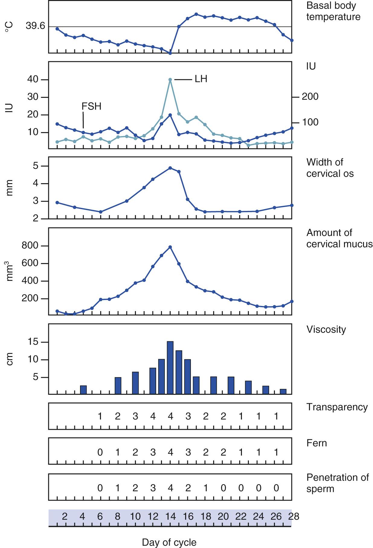 Fig. 19.5, Physiologic Changes Associated With the Menstrual Cycle.