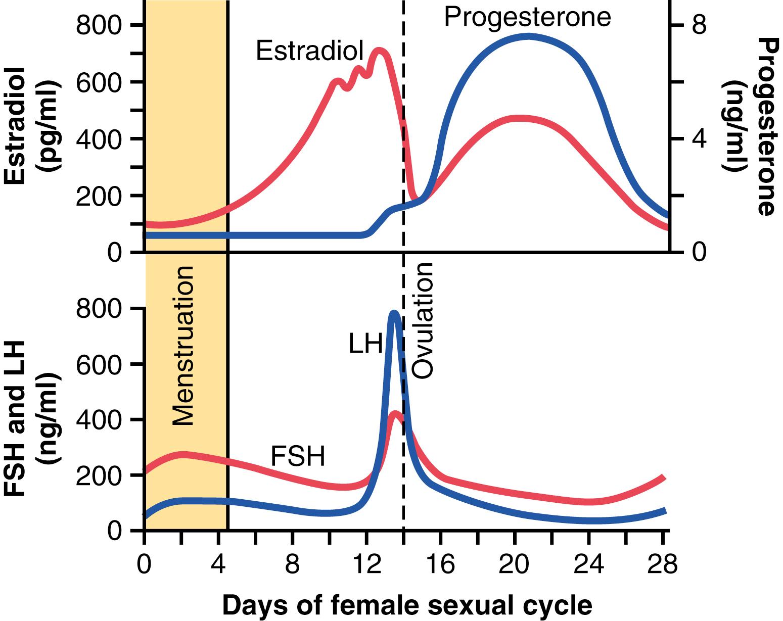 Figure 82-4., Approximate plasma concentrations of the gonadotropins and ovarian hormones during the normal female sexual cycle. FSH, Follicle-stimulating hormone; LH, luteinizing hormone.