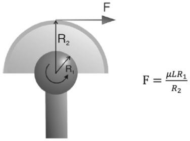Fig. 73.4, Equation for determining the frictional force generated at the bone–acetabular component interface. F = Frictional force, µ = coefficient of friction, L = normal load, R1 = internal diameter of cup, R2 = outer diameter of cup.